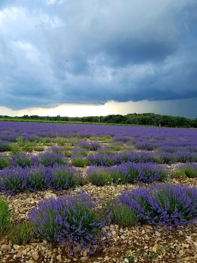 Saint-Maurice-sur-Eygues La Fontaine Au Loup酒店 外观 照片