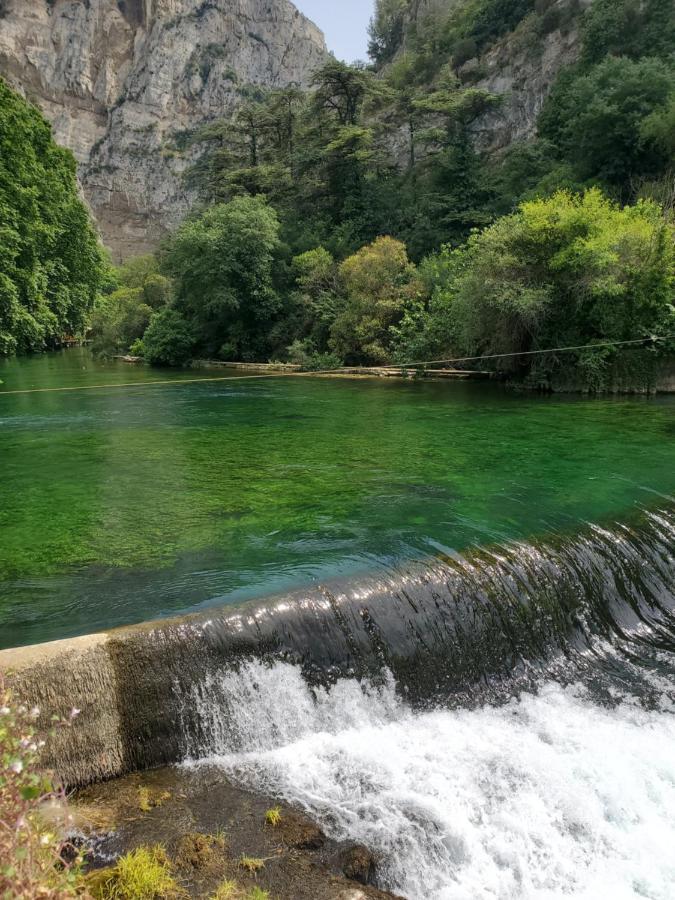 Saint-Maurice-sur-Eygues La Fontaine Au Loup酒店 外观 照片