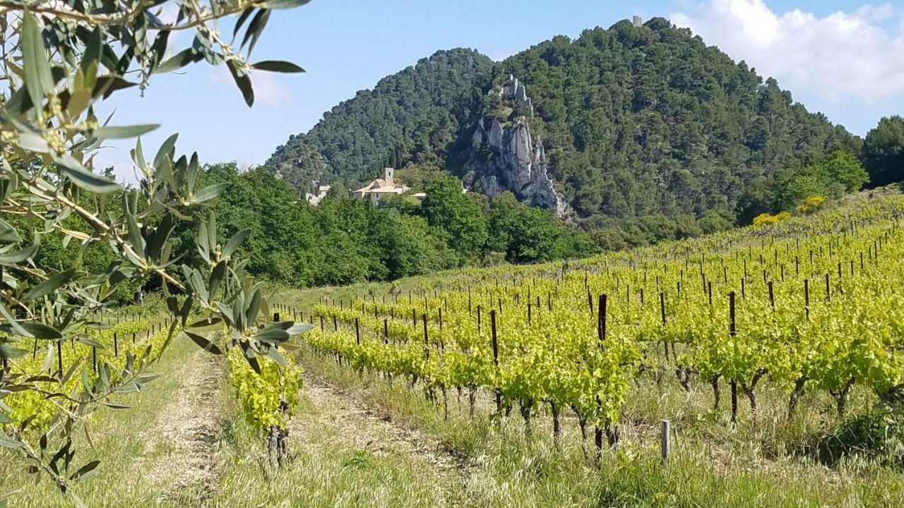 Saint-Maurice-sur-Eygues La Fontaine Au Loup酒店 外观 照片