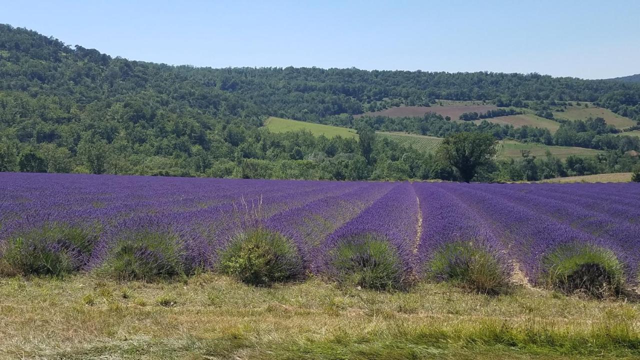 Saint-Maurice-sur-Eygues La Fontaine Au Loup酒店 外观 照片